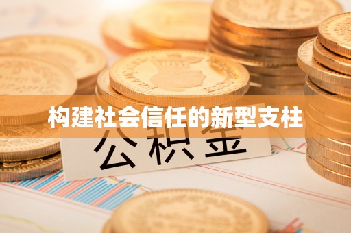 玉林构建社会信任的新型支柱