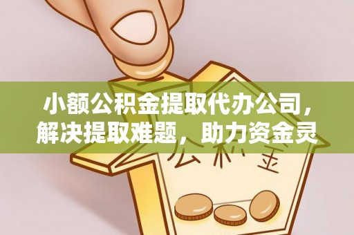 玉林小额公积金提取代办公司，解决提取难题，助力资金灵活使用