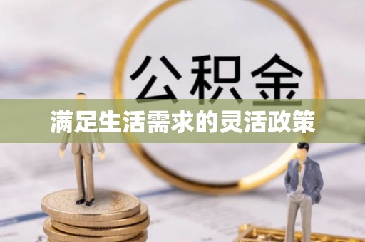 玉林满足生活需求的灵活政策