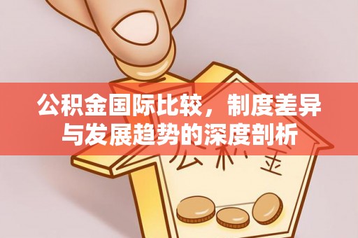 玉林公积金国际比较，制度差异与发展趋势的深度剖析