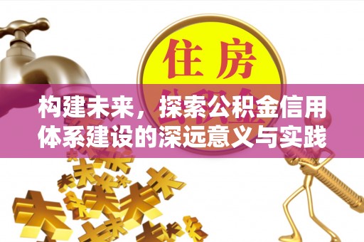 玉林构建未来，探索公积金信用体系建设的深远意义与实践路径