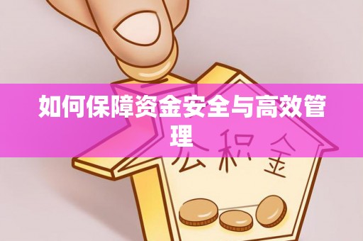 玉林如何保障资金安全与高效管理