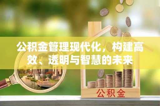 玉林公积金管理现代化，构建高效、透明与智慧的未来
