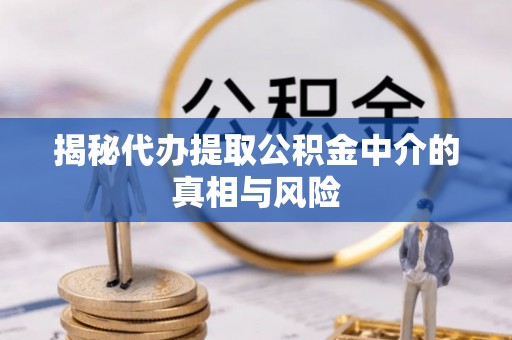 玉林揭秘代办提取公积金中介的真相与风险