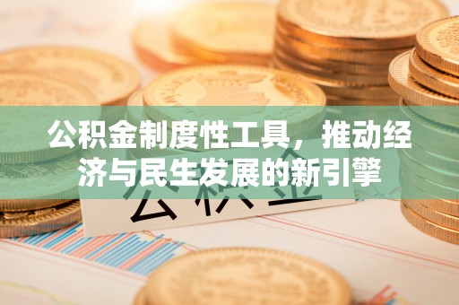 玉林公积金制度性工具，推动经济与民生发展的新引擎