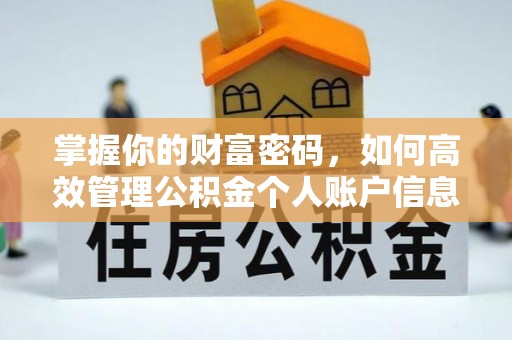 玉林掌握你的财富密码，如何高效管理公积金个人账户信息