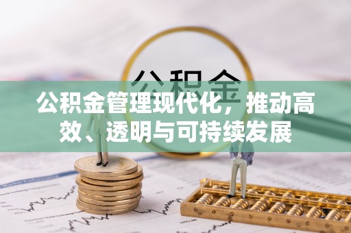 玉林公积金管理现代化，推动高效、透明与可持续发展