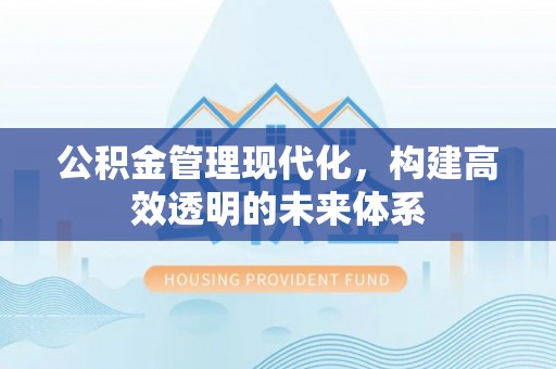 玉林公积金管理现代化，构建高效透明的未来体系