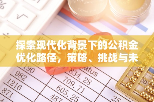 玉林探索现代化背景下的公积金优化路径，策略、挑战与未来展望
