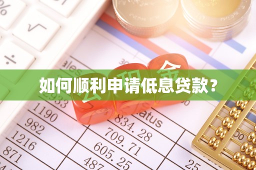 玉林如何顺利申请低息贷款？