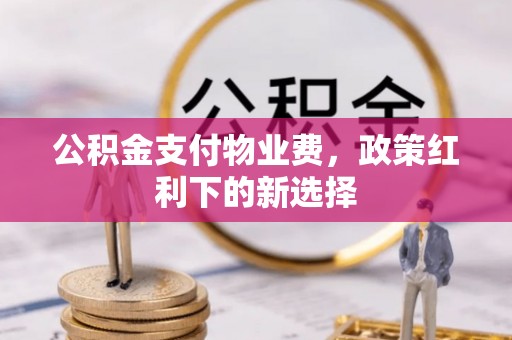 玉林公积金支付物业费，政策红利下的新选择
