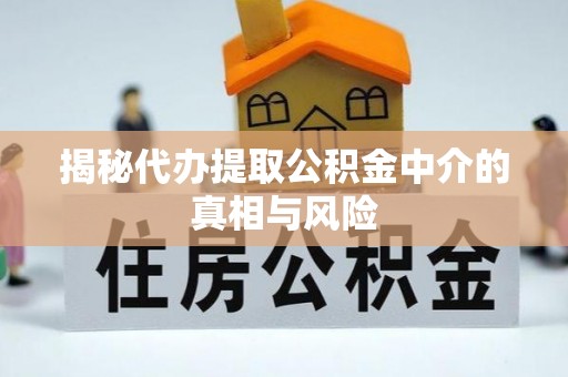 玉林揭秘代办提取公积金中介的真相与风险