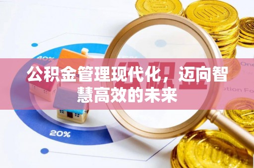 玉林公积金管理现代化，迈向智慧高效的未来