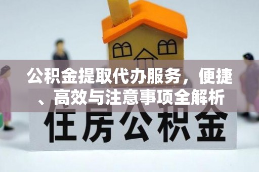 玉林公积金提取代办服务，便捷、高效与注意事项全解析