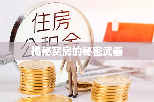 玉林揭秘买房的秘密武器