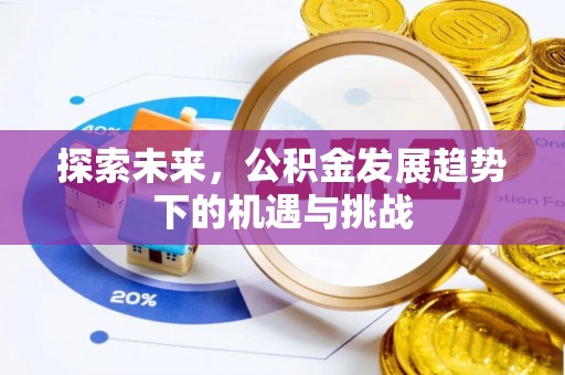 玉林探索未来，公积金发展趋势下的机遇与挑战