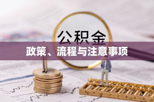 玉林政策、流程与注意事项