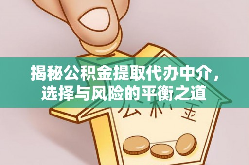 玉林揭秘公积金提取代办中介，选择与风险的平衡之道