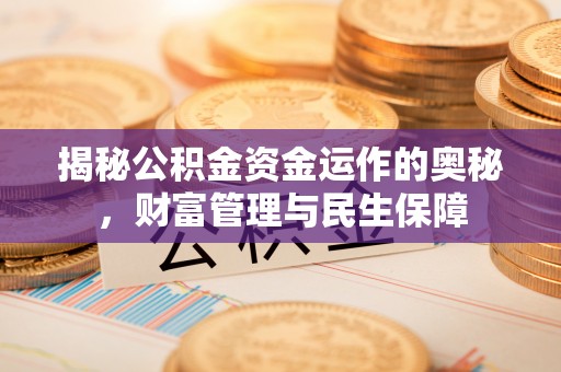 玉林揭秘公积金资金运作的奥秘，财富管理与民生保障