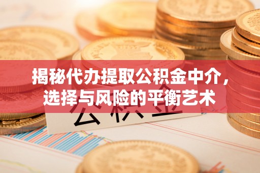 玉林揭秘代办提取公积金中介，选择与风险的平衡艺术