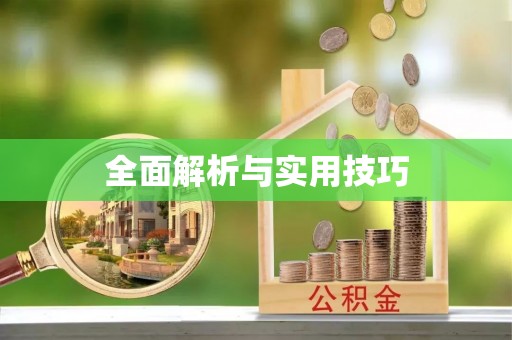 玉林全面解析与实用技巧