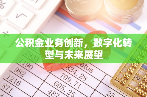 玉林公积金业务创新，数字化转型与未来展望