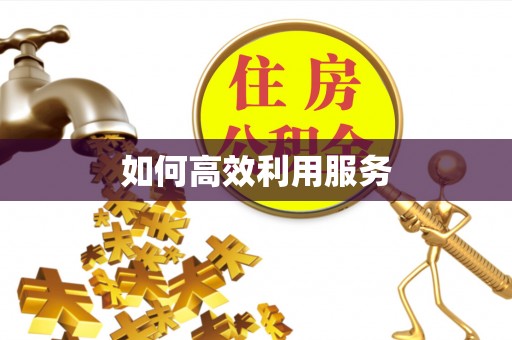 玉林如何高效利用服务