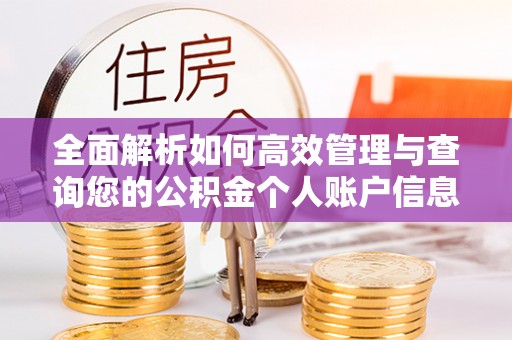 玉林全面解析如何高效管理与查询您的公积金个人账户信息