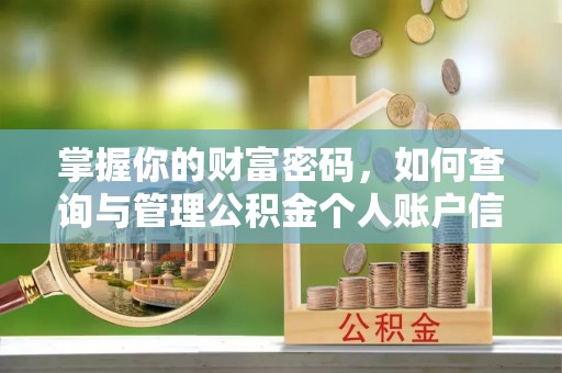 玉林掌握你的财富密码，如何查询与管理公积金个人账户信息