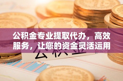 玉林公积金专业提取代办，高效服务，让您的资金灵活运用
