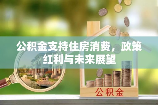 玉林公积金支持住房消费，政策红利与未来展望