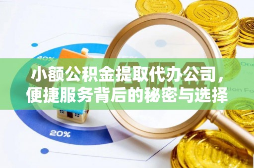 玉林小额公积金提取代办公司，便捷服务背后的秘密与选择指南