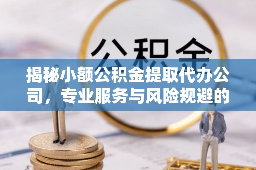 玉林揭秘小额公积金提取代办公司，专业服务与风险规避的平衡艺术