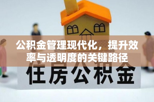 玉林公积金管理现代化，提升效率与透明度的关键路径