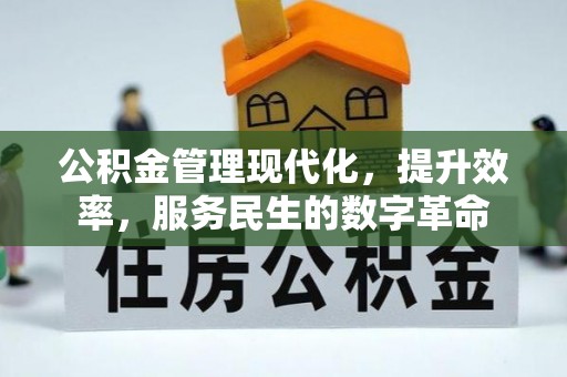 玉林公积金管理现代化，提升效率，服务民生的数字革命