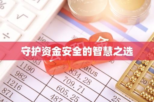 玉林守护资金安全的智慧之选