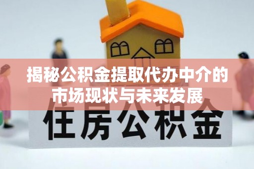 玉林揭秘公积金提取代办中介的市场现状与未来发展