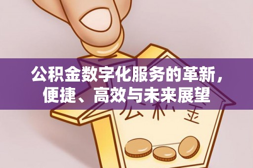 玉林公积金数字化服务的革新，便捷、高效与未来展望