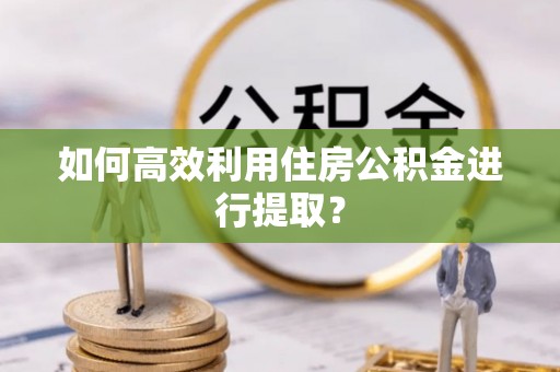 玉林如何高效利用住房公积金进行提取？