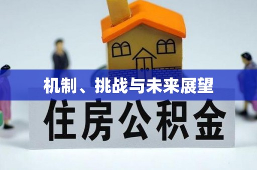 玉林机制、挑战与未来展望