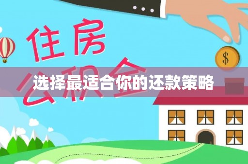 玉林选择最适合你的还款策略