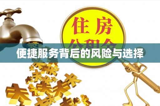 玉林便捷服务背后的风险与选择