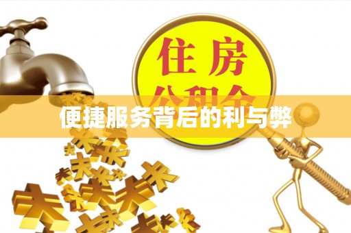 玉林便捷服务背后的利与弊